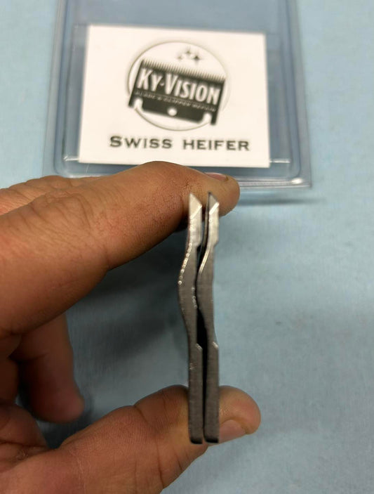 Brown Swiss Heifer Ground Down Blade