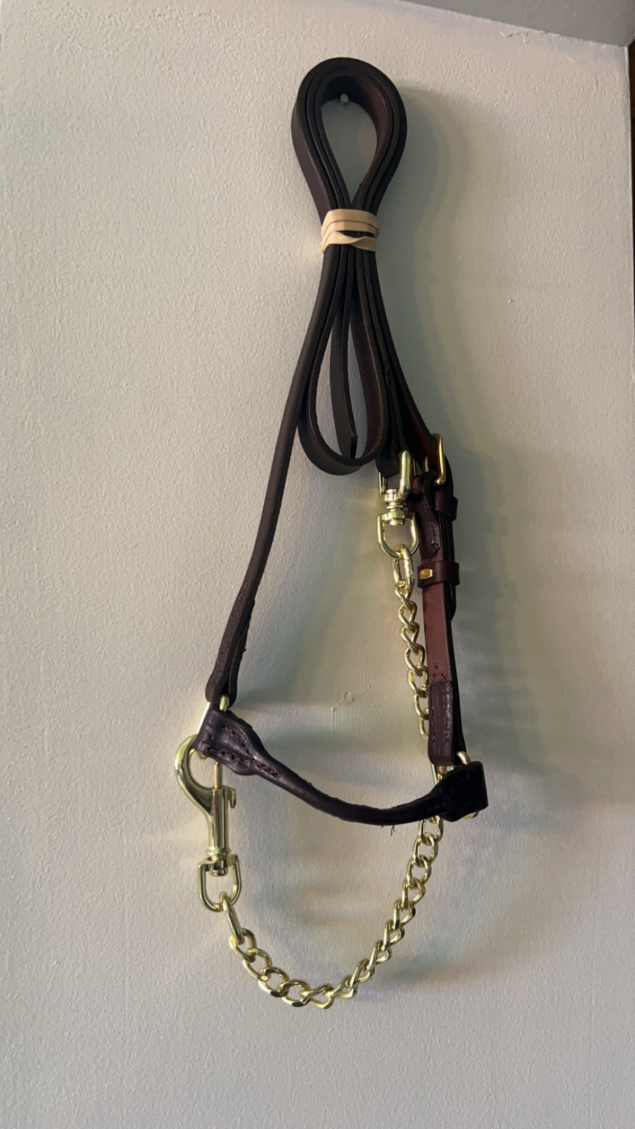 Leather Show Halter