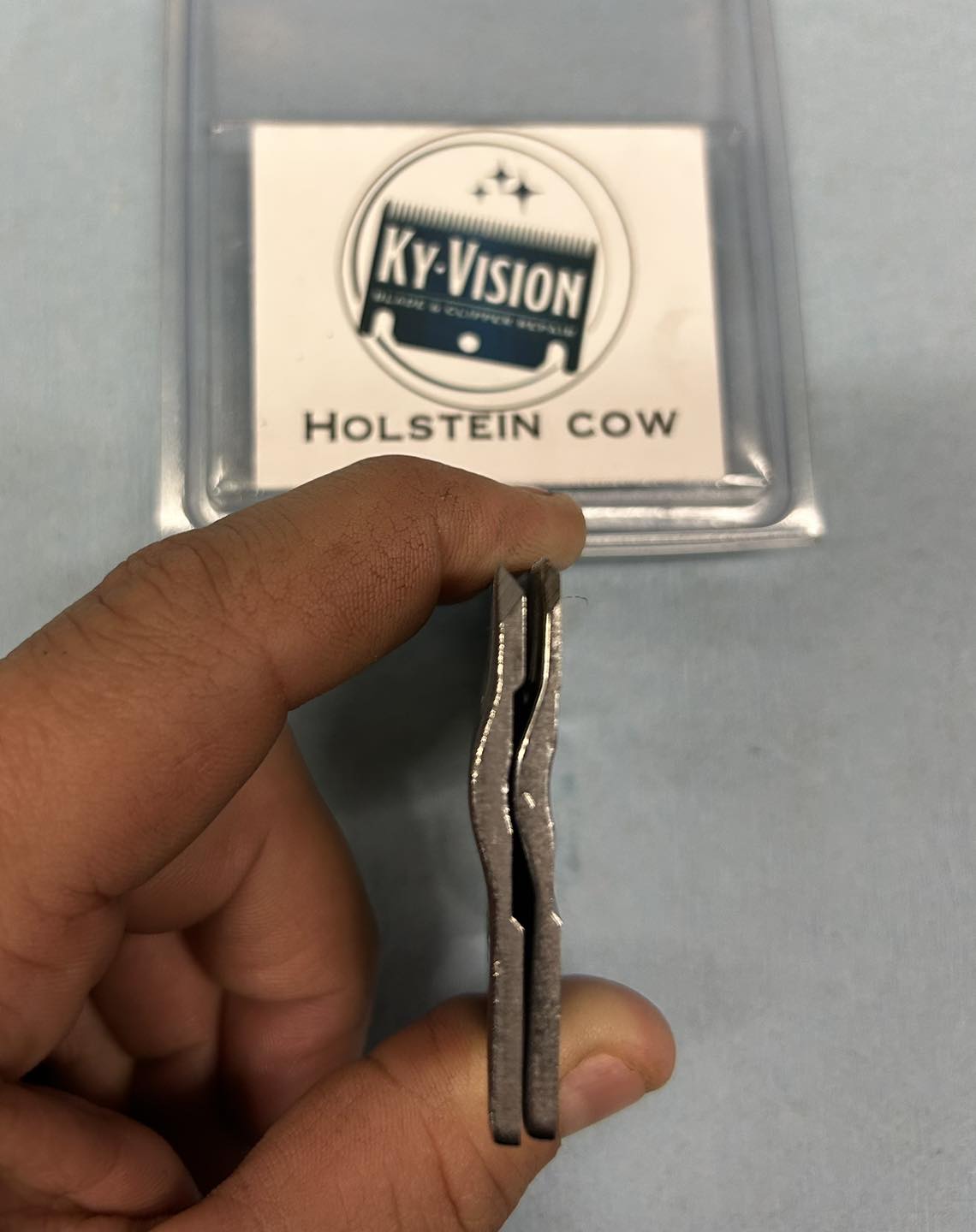 Holstein Cow Ground Down Blade